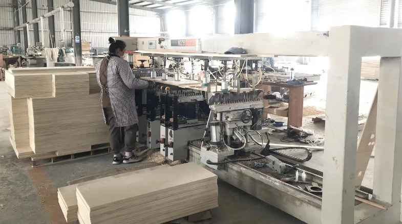 Qingdao Vitalucks Trade Co., Ltd. ligne de production en usine