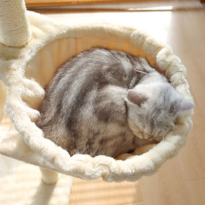 Arbre de chat en bois certifié ISO9001 2008 FSCI BSCI avec grand condo et conception à plusieurs niveaux