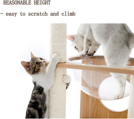 OEM ODM Accepté Elegant Cats Capsule spatiale d'arbre avec nid flottant et boules suspendues