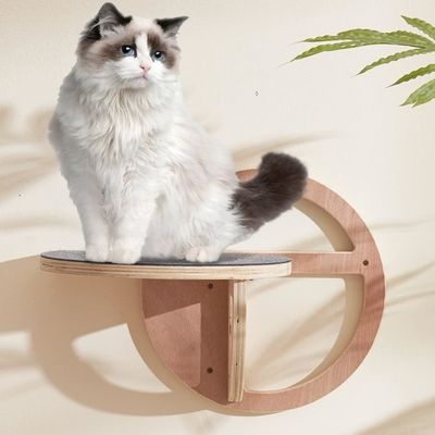 Des boîtes d'emballage de vin élégantes Des marches murales de chat en bois Des étagères pour l'excitation