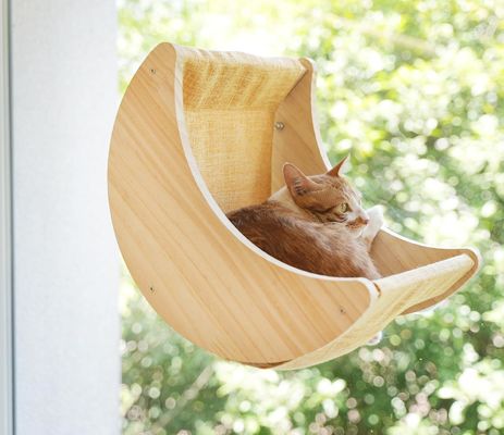 ISO9001 2008 Certifié FSCI BSCI étagères de lit à hamac pour chats montées avec des gobelets d'aspiration puissants