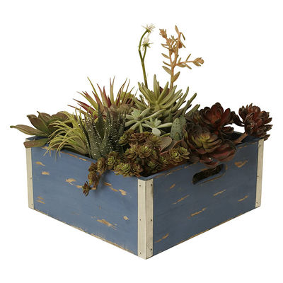 Europe Caractéristique régionale Boîte cadeau en bois de pin personnalisée Cages à vin pour le stockage gratuit d'échantillons