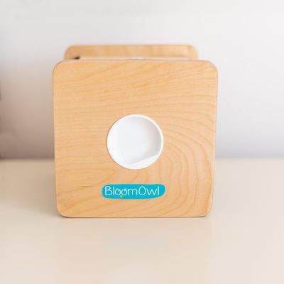 Banque de pièces personnalisée en bois pour enfants OEM ODM Accepté Matériau de bambou écologique