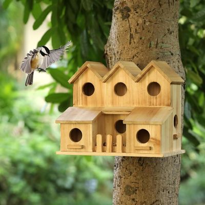 Maison d'oiseaux en bois faite à la main avec 8 trous couvercle coulissant style couleur bois de bouleau inachevé