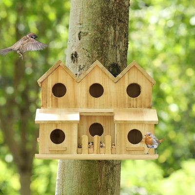 Maison d'oiseaux en bois faite à la main avec 8 trous couvercle coulissant style couleur bois de bouleau inachevé
