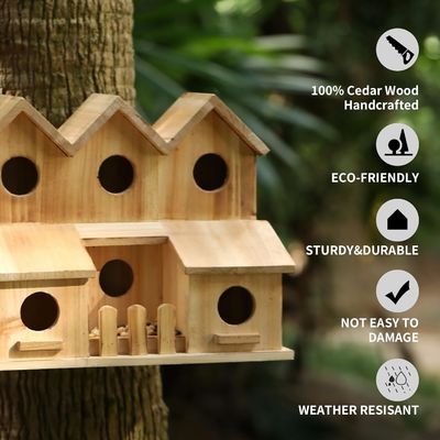 Maison d'oiseaux en bois faite à la main avec 8 trous couvercle coulissant style couleur bois de bouleau inachevé