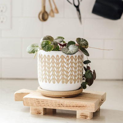 Matériau d'huile végétale Plateau d'affichage de support en bois Logo personnalisé Acceptable