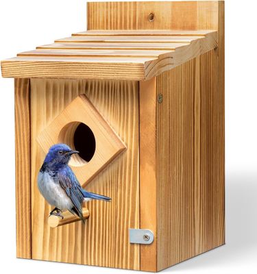Boîte de nidification d'oiseau bleu avec construction en bois et traitement de peinture pulvérisée étanche
