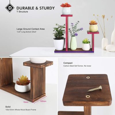 Étagère d'affichage de salon pour plantes succulentes Carré Porteur d'étagère de fleurs environnementales