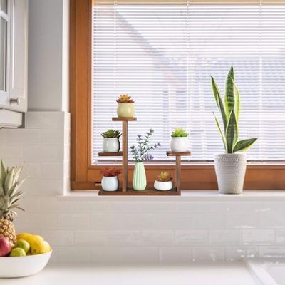 Étagère d'affichage de salon pour plantes succulentes Carré Porteur d'étagère de fleurs environnementales