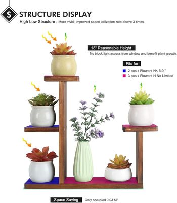 Étagère d'affichage de salon pour plantes succulentes Carré Porteur d'étagère de fleurs environnementales