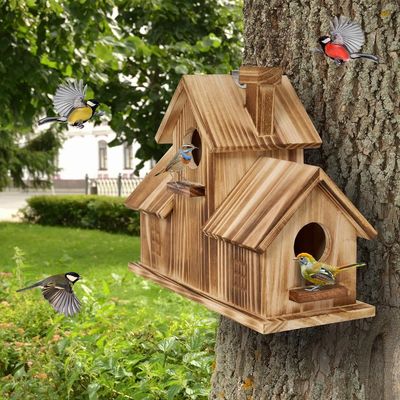 Maison d'oiseaux en bois extérieur à 3 trous faite à la main à partir de bois pour l'habitat du jardin