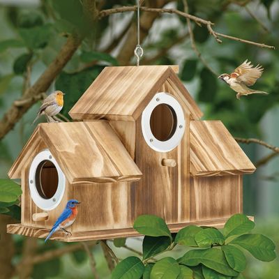 Logo Personnalisé Logo Acceptable Maison d'oiseaux en bois naturel pour le jardin
