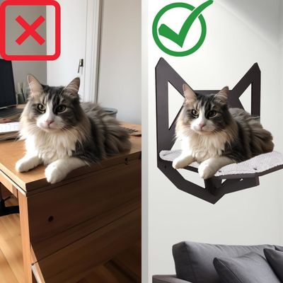 Fonction économiser de l'espace Wall monté étagère pour chat avec des étagères perches et lit suspendu