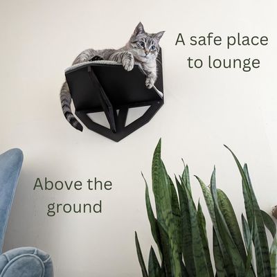 Fonction économiser de l'espace Wall monté étagère pour chat avec des étagères perches et lit suspendu