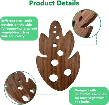 OEM/ODM Acceptable éplucheur d'herbes de bambou pour éliminer les feuilles de chou-fleur 8 trous