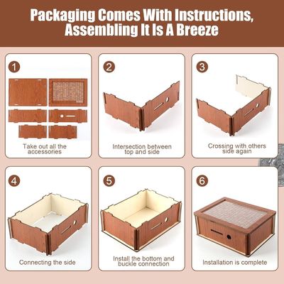 OEM/ODM Acceptable Épargne en espèces en bois Épargne en argent avec couleur naturelle et normes