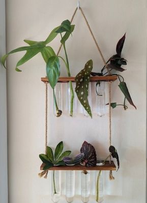 202407 Station de propagation végétale pour les plantes de culture en vase hydroponique OEM Station de démarrage