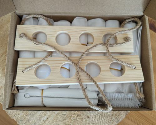 202407 Station de propagation végétale pour les plantes de culture en vase hydroponique OEM Station de démarrage