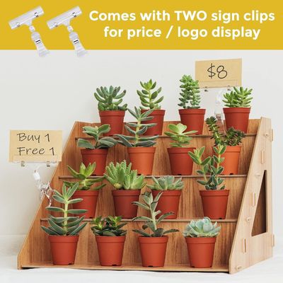 Porteur de savon à bougies en bois moderne pour afficher des tasses en verre des gâteaux et des bonbons