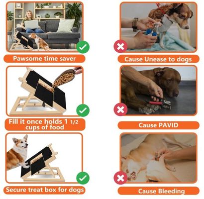 Tableau de grattage d'ongles en bois pour chiens en forme d'os Tableau de remplissage d'ongles pour chiens