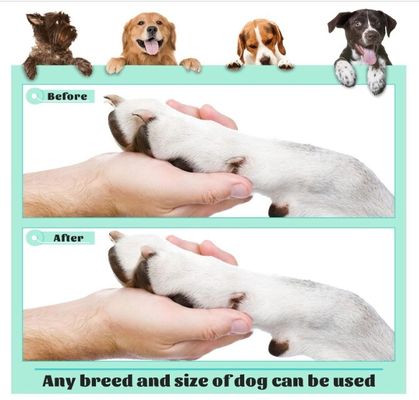 Économiser du temps et de l'espace 202407 Planche à gratter pour chiens pour ongles