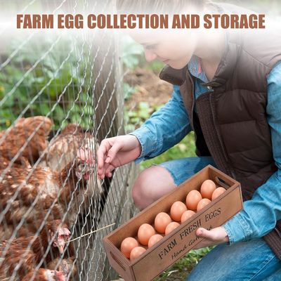 Caisse à œufs rustique en bois pour 12 œufs frais