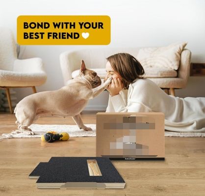 OEM Cadran à gratter pour chien avec boîte à friandises Cadran à gratter pour ongles pour chien avec poignée Cadran à gratter pour chat