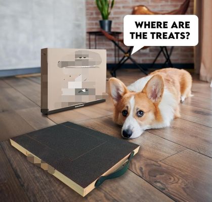 OEM Cadran à gratter pour chien avec boîte à friandises Cadran à gratter pour ongles pour chien avec poignée Cadran à gratter pour chat