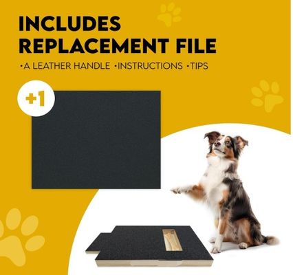 OEM Cadran à gratter pour chien avec boîte à friandises Cadran à gratter pour ongles pour chien avec poignée Cadran à gratter pour chat