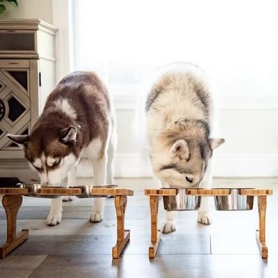 15 degrés d'inclinaison Pet Bowl Stand Impression sur bois personnalisée Laser gravure deux bols amovibles