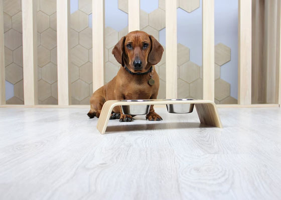 202407 Cadeau pour animaux de compagnie personnalisé en bois avec deux bols en acier inoxydable