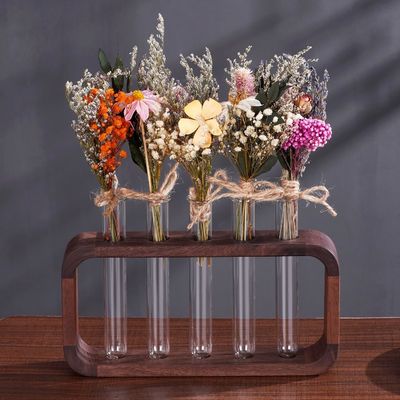 Plantes hydrophiles économes en espace avec un avantage en quantité élevée en verre transparent