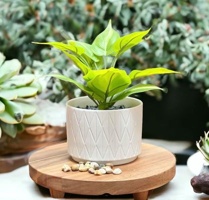 Planche à planches en bois d'acacia pour l'affichage de la cuisine