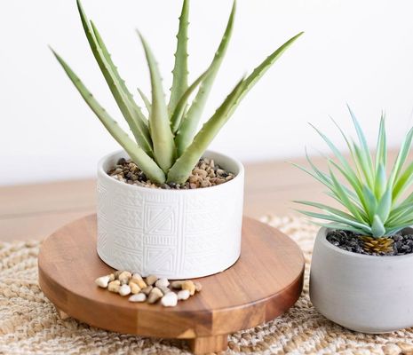 Planche à planches en bois d'acacia pour l'affichage de la cuisine