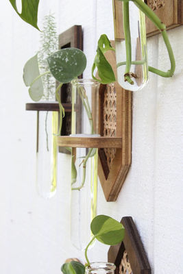 Planteur hydraulique Boho suspendu au mur Planteur mural avec sérigraphie/brûlé