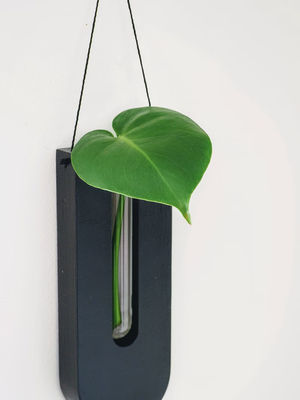 Station de propagation moderne mini boîte en bois planteur murale pour porche et pots de décoration murale