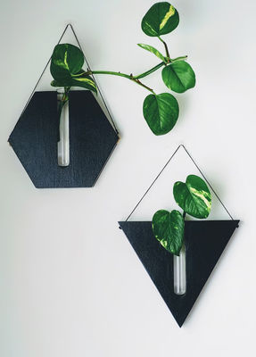 Station de propagation moderne mini boîte en bois planteur murale pour porche et pots de décoration murale