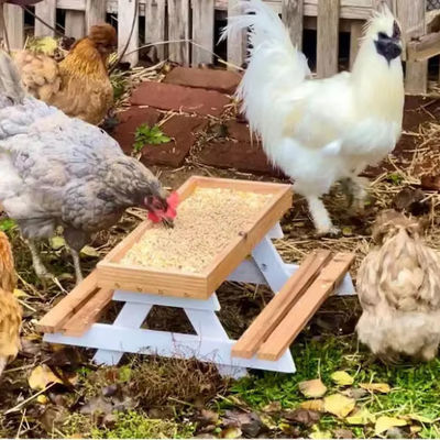 Alimentateur pour animaux de compagnie Mini Table de pique-nique Alimentateur pour poulets pour petits animaux
