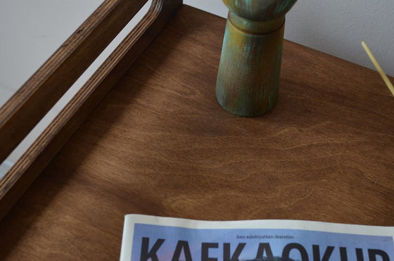 Cabine à l'intérieur doit avoir économiser de l'espace avec la démolition de luxe meubles en bois caisse de chien