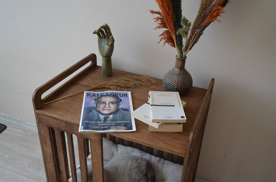 Cabine à l'intérieur doit avoir économiser de l'espace avec la démolition de luxe meubles en bois caisse de chien