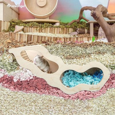 Exemple de maison de hamster en bois gratuit avec échelle d'escalade et tunnel secret