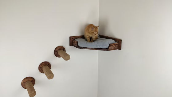 Maison de jeu pour chats monté sur le mur avec lit de chat en bois naturel