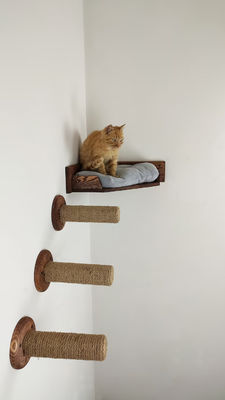 Maison de jeu pour chats monté sur le mur avec lit de chat en bois naturel