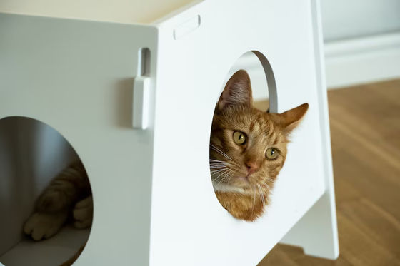 Appareil électroménager à l' intérieur moderne Cage pour animaux de compagnie Maison pour chien et chat Salon