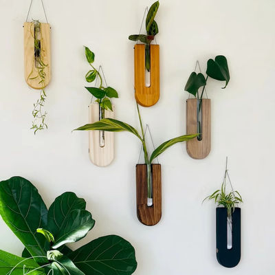 Station de propagation de style de design moderne pour planteur de murs en bois et décoration intérieure