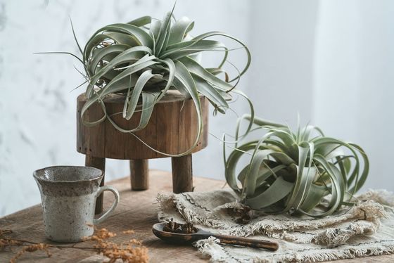 Impression à écran de soie Rustique bordure en bois recyclé pour la décoration intérieure