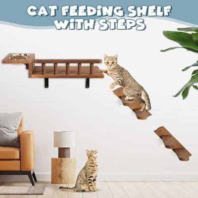 Dites au revoir aux planchers désordonnés Plateforme pour chats montée sur le mur avec échelle et 2 bols