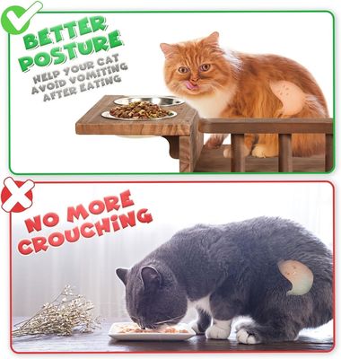 Dites au revoir aux planchers désordonnés Plateforme pour chats montée sur le mur avec échelle et 2 bols