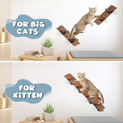 Dites au revoir aux planchers désordonnés Plateforme pour chats montée sur le mur avec échelle et 2 bols